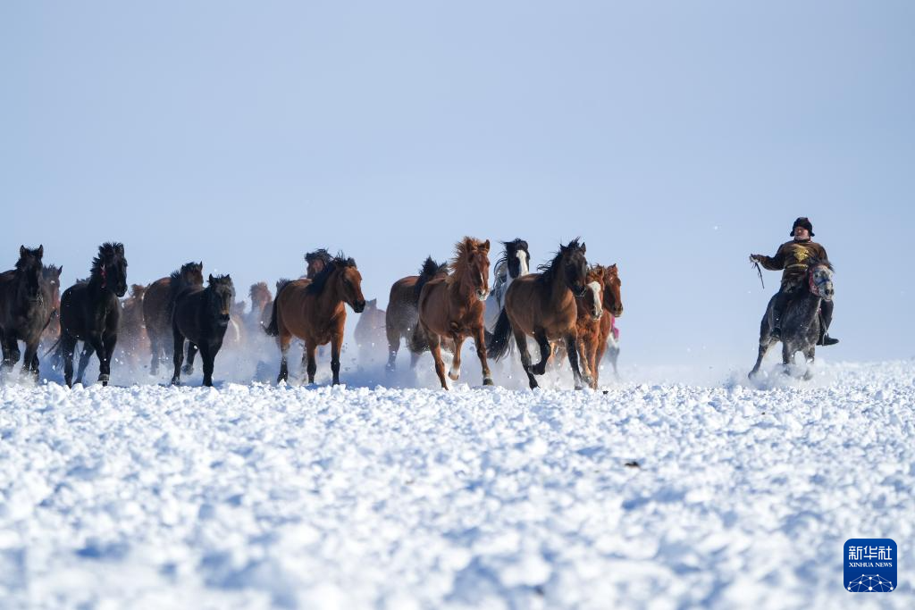 bec1eb242b0a36f8c5bbbf05e06a9bba_118259494_4da734fd-ac5d-4b32-adfc-dc9d40cfb2df.jpg bec1eb242b0a36f8c5bbbf05e06a9bba_118259494_4da734fd-ac5d-4b32-adfc-dc9d40cfb2df.jpg