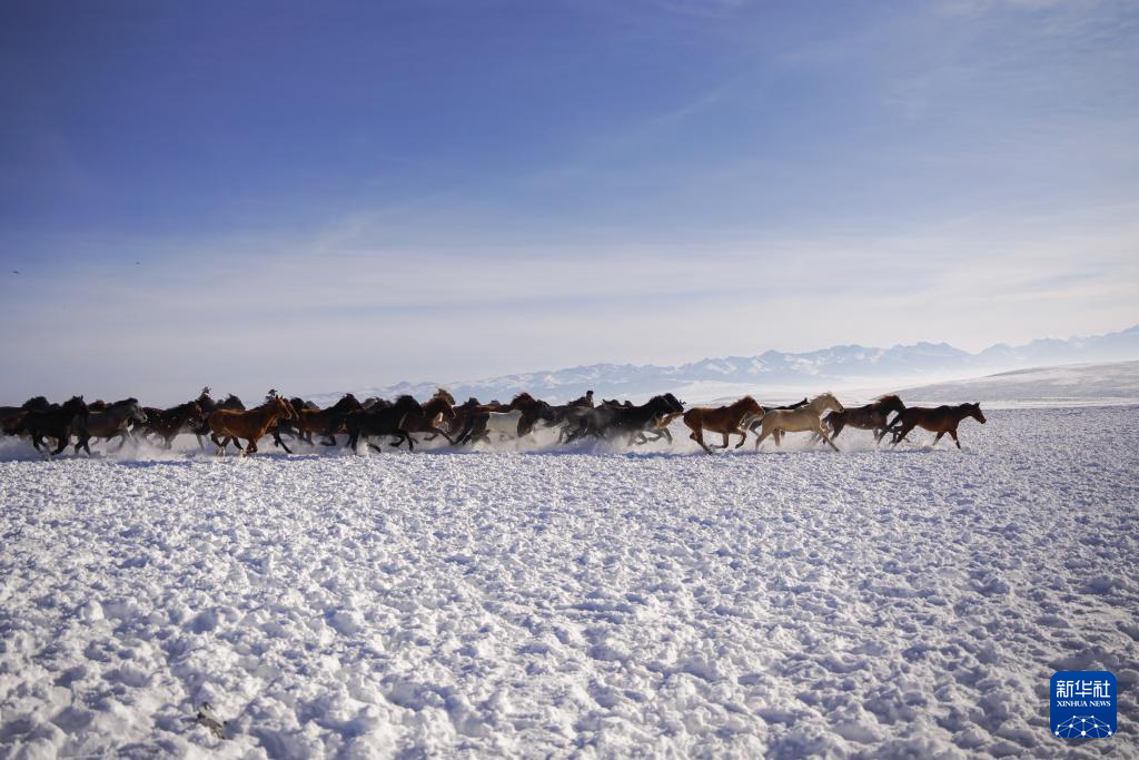 2326f8932d280f10b1452cadbb96a622_118259494_f5cb2d26-d95f-4bcc-8fce-17a33958ac73.jpg 2326f8932d280f10b1452cadbb96a622_118259494_f5cb2d26-d95f-4bcc-8fce-17a33958ac73.jpg