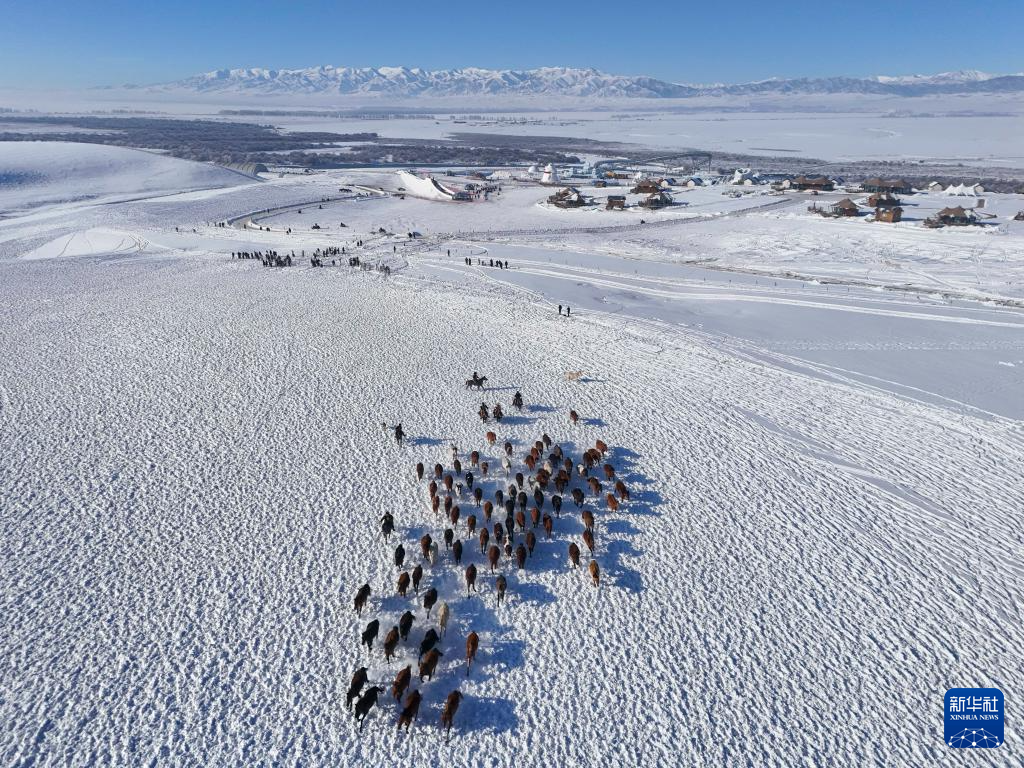 cf3d048d9565db49948d67f160220fe6_118259494_309303e0-5b3e-4ec9-9dbf-dc3951497ca1.jpg cf3d048d9565db49948d67f160220fe6_118259494_309303e0-5b3e-4ec9-9dbf-dc3951497ca1.jpg