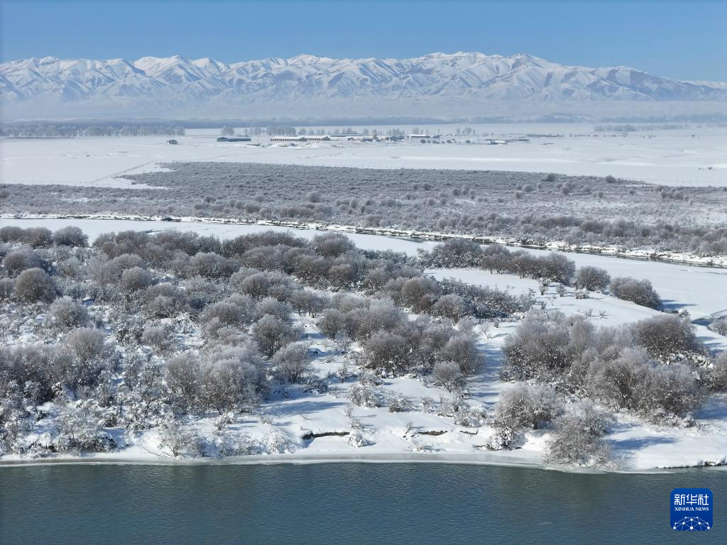 eeceaf188b15d0d6a3d4c7a0d439f18e_118259494_b71f1df9-d783-4c65-9672-0cbe08cf9c53.jpg eeceaf188b15d0d6a3d4c7a0d439f18e_118259494_b71f1df9-d783-4c65-9672-0cbe08cf9c53.jpg