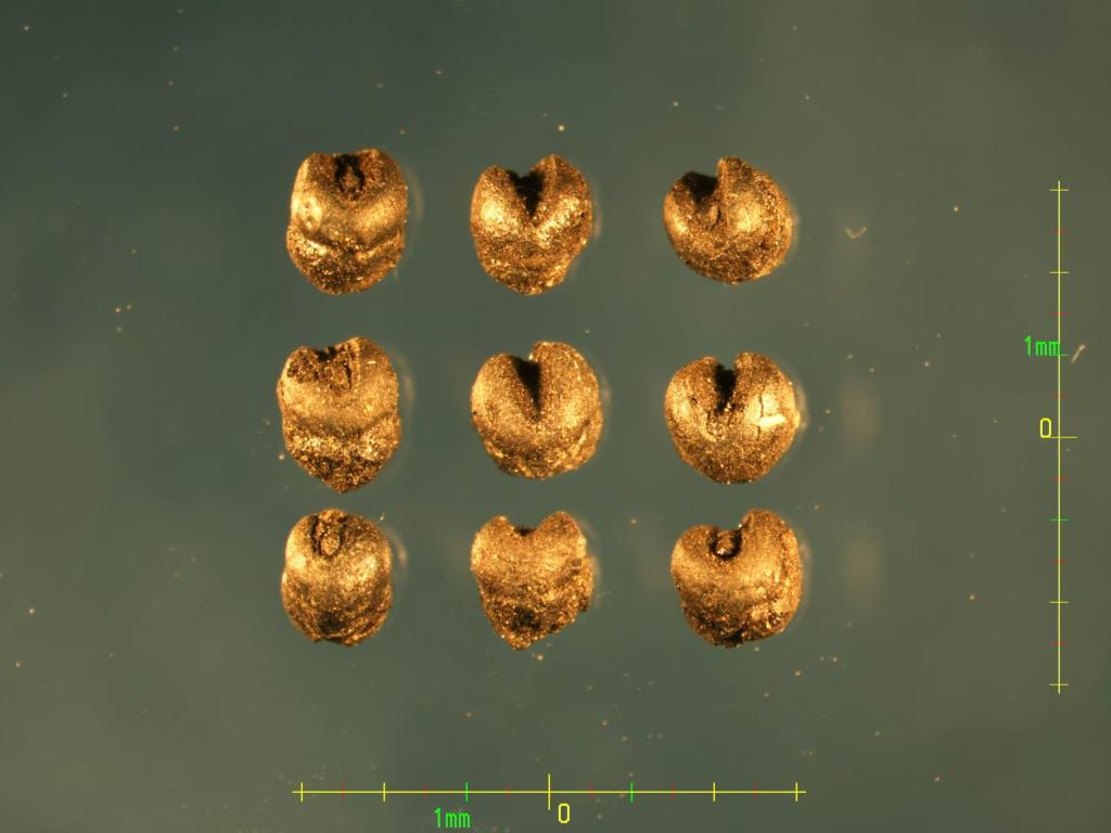 694477d12bbec51fd6be0e92cca5256a_118280379_91c28e64-92a8-4de3-a26a-0cc40c6313db.jpg 694477d12bbec51fd6be0e92cca5256a_118280379_91c28e64-92a8-4de3-a26a-0cc40c6313db.jpg