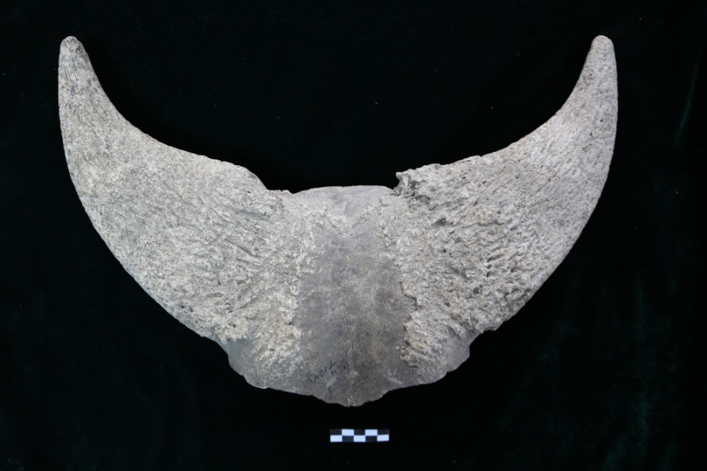 c1cda2b114596306da1d857a47f0422e_118280379_b20870e8-bd65-40f4-b373-04d5e87a54a0.png c1cda2b114596306da1d857a47f0422e_118280379_b20870e8-bd65-40f4-b373-04d5e87a54a0.png